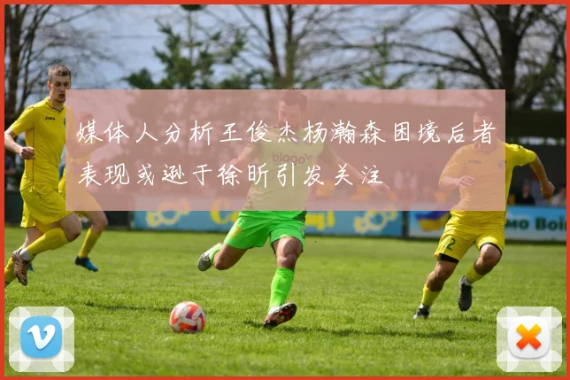 媒体人分析王俊杰杨瀚森困境后者表现或逊于徐昕引发关注